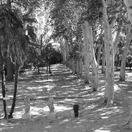 Chateau Rieutort Saint-Pargoire Bagian luar foto