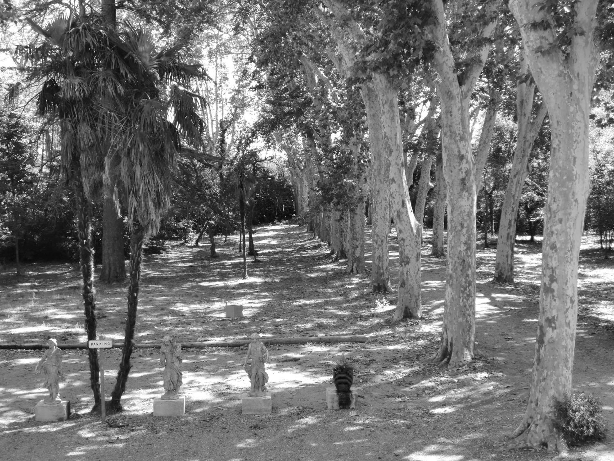 Chateau Rieutort Saint-Pargoire Bagian luar foto