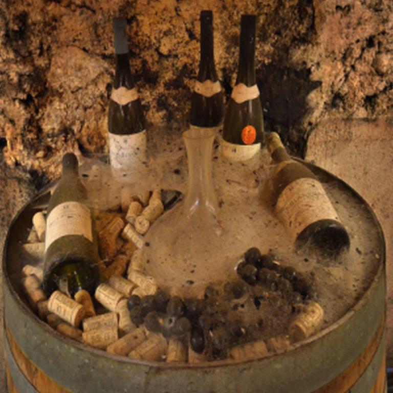 Chateau Rieutort Saint-Pargoire Bagian luar foto